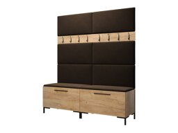 Eteissetti Nomal II (Craft tammi)