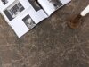 Coffee table Dallas 4198 (Brown)