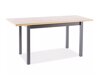 Table Detroit 782 (Artisan oak + Black)