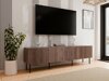 TV-taso Fama I