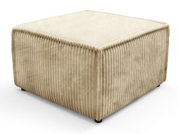 Rahi Kingston 189 (Tilia 11)