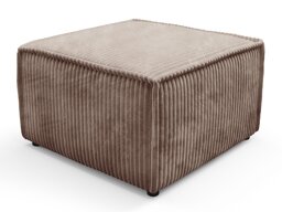 Rahi Kingston 189 (Tilia 17)