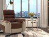 Kallistuva nojatuoli Denton 680 (Ruskea + Beige)