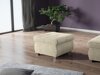 Rahi Comfivo Nitor (Corbett 21)