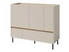 Lipasto Fiosono 107 (Beige + Vaalea tammi)