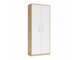 Bookcase Mandeville 196 (Artisan oak + White)