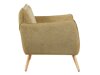 Armchair Anaheim 123 (Light green)