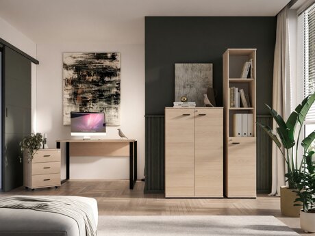 Home office set Domseve 110