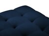 Rahi Calelbe 113 (Bluvel 86)