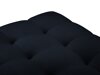 Rahi Calelbe 113 (Bluvel 89)
