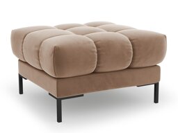 Rahi Calelbe 113 (Bluvel 28)