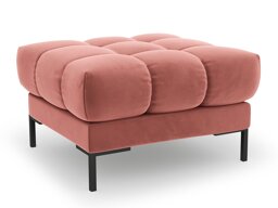 Rahi Calelbe 113 (Bluvel 52)