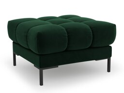 Rahi Calelbe 113 (Bluvel 78)