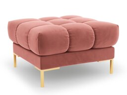 Rahi Calelbe 113 (Bluvel 52)