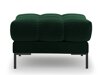 Rahi Calelbe 113 (Bluvel 78)