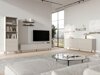TV-taso Talsou 106