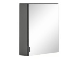 Kylpyhuoneen peilikaappi Tivcore 102 (Harmaa)