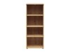 Bookcase Fenopha 159 (Artisan oak)