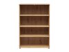 Bookcase Fenopha 163 (Artisan oak)