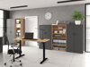 Bookcase Fenopha 164 (Artisan oak)