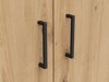 Wardrobe Fenopha 173 (Artisan oak)