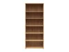Bookcase Fenopha 193 (Artisan oak)