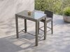 Outdoor bar table Dallas 3841