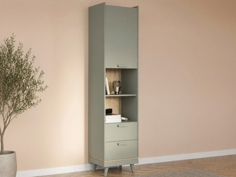 Bookcase Fertalu 106 (Green + Oak)