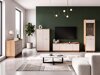 Bookcase Lorlivo 105