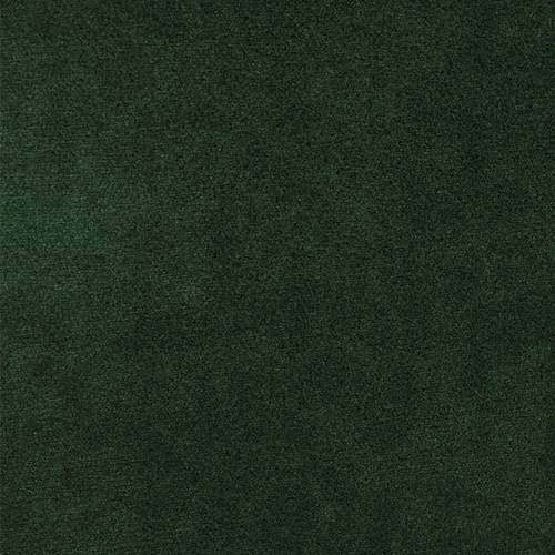 Eteissetti Pinis XXIV (Polo 889)