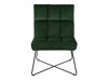 Fotoliu Norsica 370 (Verde + Negru)