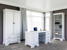 Thuiskantoorset Salmeru 118 (Anderson den)