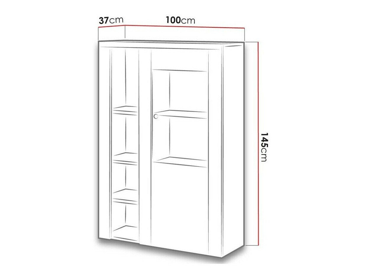 Reol Salelbo 104 (Riviera egetræ)