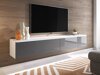 TV-meubel Scientia I (Wit + Grijs met glans)