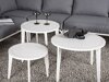 Buiten meubilair set Dallas 1084 (Grijs + Wit)