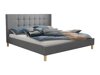 Seng ComfiDream 109 (Sawana 21)
