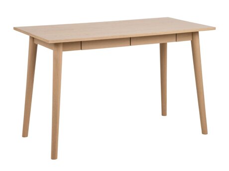 Kirjutuslaud Norsica Elmdome 101