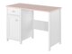Darbo stalas Elblive 120