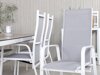 Tafel en stoelen set Dallas 3150