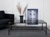 Salontafel Dallas 187