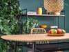 Tafel Houston 1124