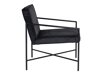 Fauteuil Dallas 1707 (Zwart)
