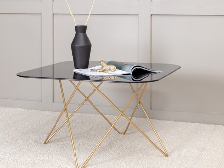 Salontafel Dallas 1723 (Zwart + Messing)