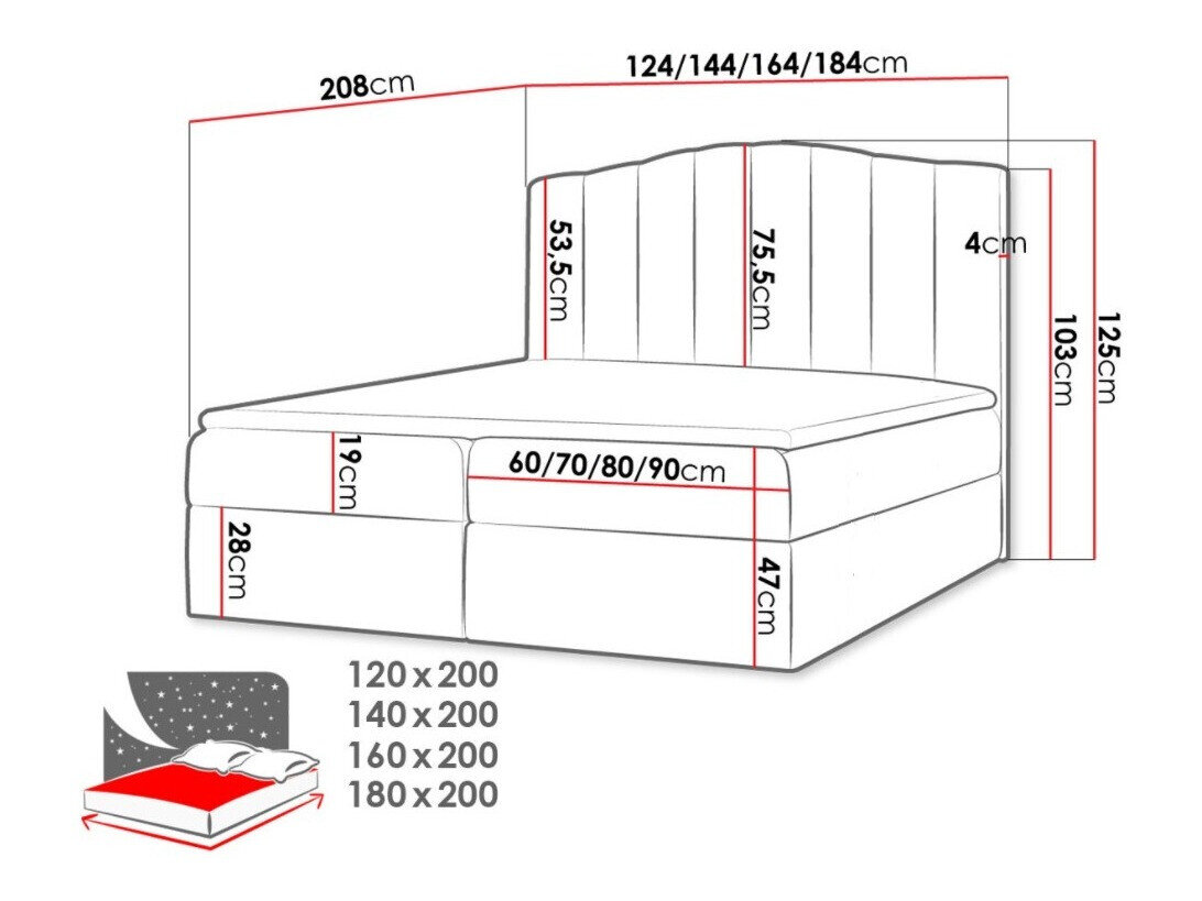 Boxspring Cantus (Casablanca 2303)