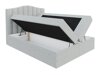 Boxspring Cantus (Casablanca 2314)