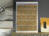 Kledingkast Closico Salvor IV (Wit + Artisan eiken)