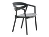 Buitenstoel Dallas 2571