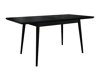 Spisestuesæt Racine 125 (Sort + Magic Velvet 2219)