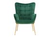 Fotel Denton 530 (Zöld + Aranysárga)