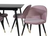 Eetkamerset Dallas 1526 (Roze + Zwart)